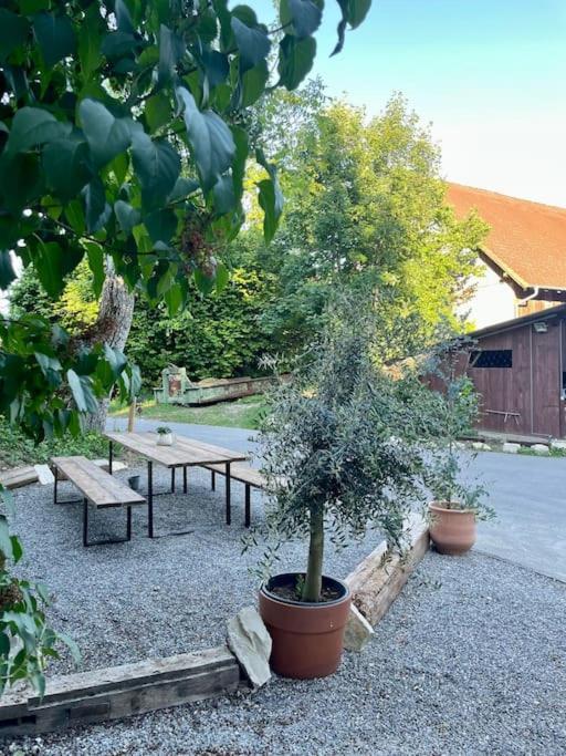 Zauberhafte Ferienscheune Im Hofgut Alte Oelmuehle 恩根 外观 照片